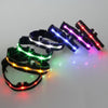 Cute Rechargeable Necklace with LED for Dogs Special for Use at Night Time